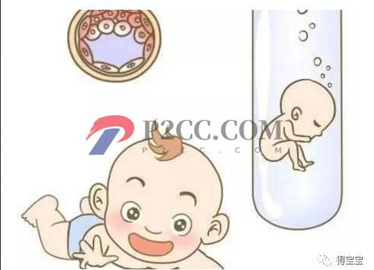 女人做了試管嬰兒人就廢了？好可怕，真的嗎？(圖1)