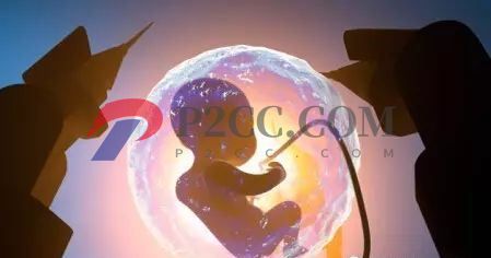 懷孕33周到36周，胎兒發(fā)育成什么樣呢？看看你家胎寶寶發(fā)育達標嗎！(圖1)