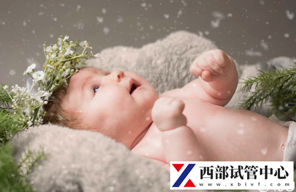 國(guó)內(nèi)做試管嬰兒的費(fèi)用