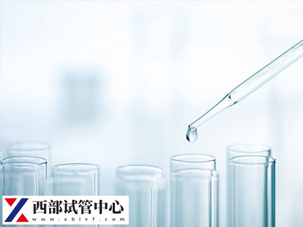 胚胎移植著床后會出現(xiàn)惡心嘔吐的早孕反應